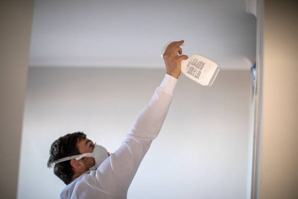 Best Same-Day Mold Removal  in Ridgely, MD